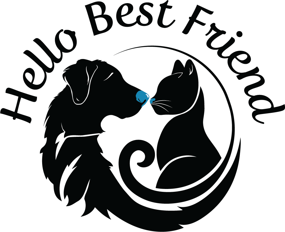 Hello Best Friend logo